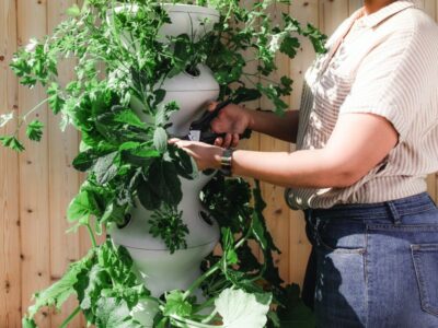 Landscaping and gardening (Sample Listing)